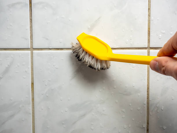 Best Certified Mold Removal  in Laguna Beach, CA