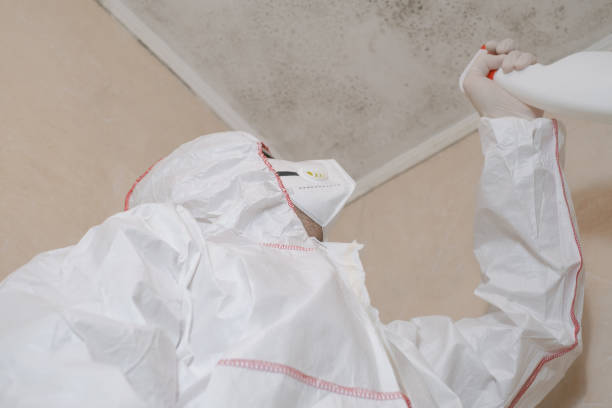 Best Fast Mold Removal  in Laguna Beach, CA